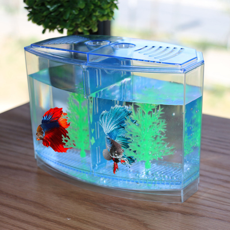 Aquarium Fish Keeping - นวนิยายและตลกของเล่นสร้างสรรค์ถังปลาแยกกล่องอะคริลิคสีขาว Aquarium ถังพิเศษสําหรับต่อสู้ปลาตกแต่งโต๊ะ