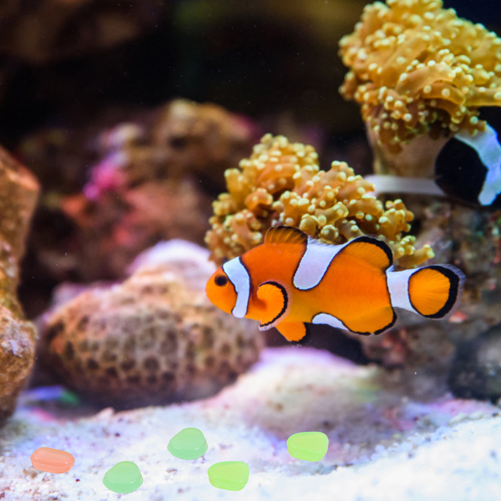 400 ชิ้น หินกรวดเรืองแสงในที่ม - Fish Tank Gravel บทวิจารณ์และราคา