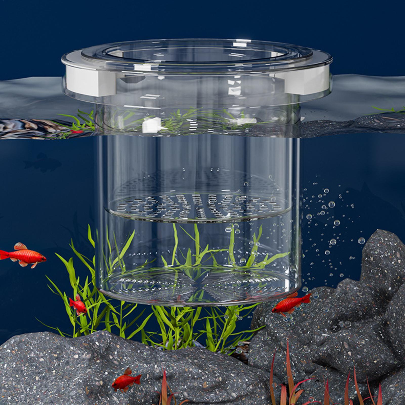 กล่องเพาะพันธุ์ปลาแบบลอยน้ำ กล - Aquarium Fish Betta บทวิจารณ์และราคา