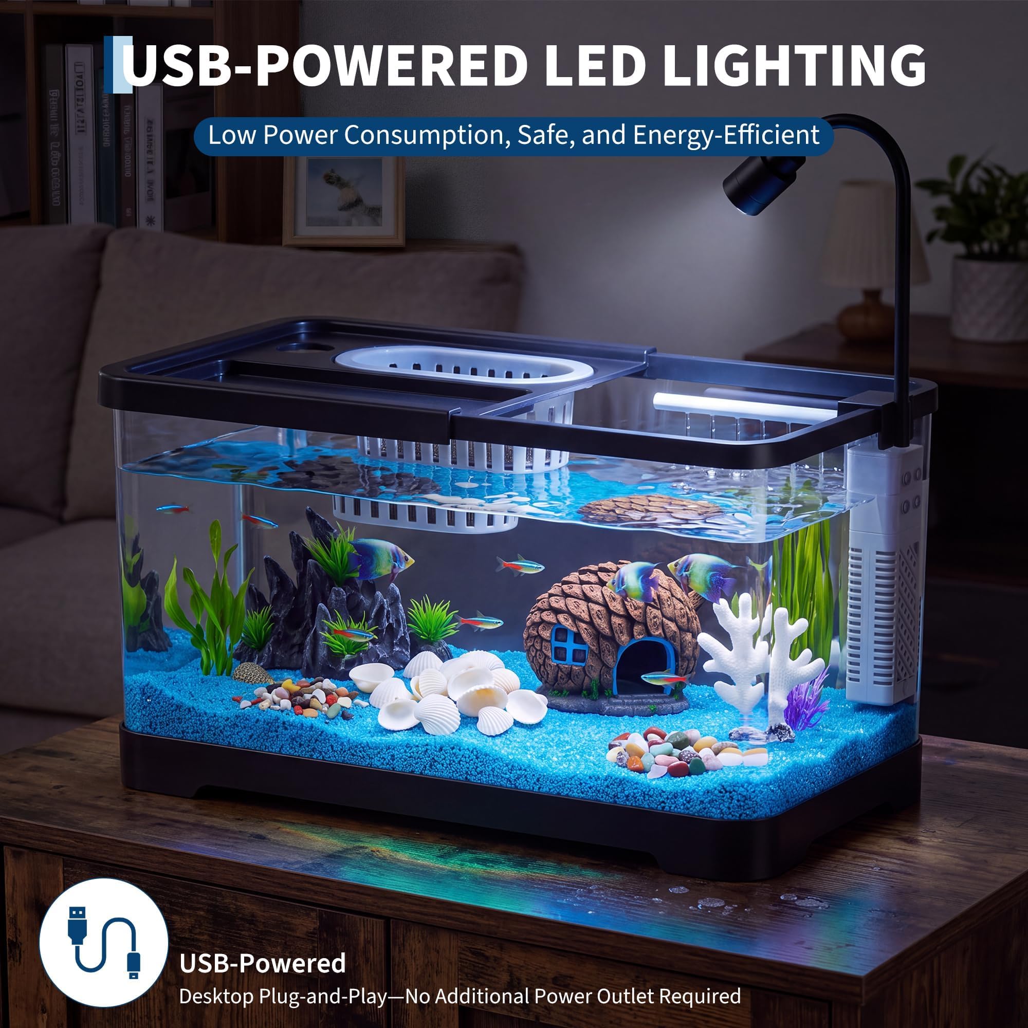 ชุดเริ่มต้นตู้ปลาพร้อมตัวกรองแ - Aquarium Fish Betta บทวิจารณ์และราคา