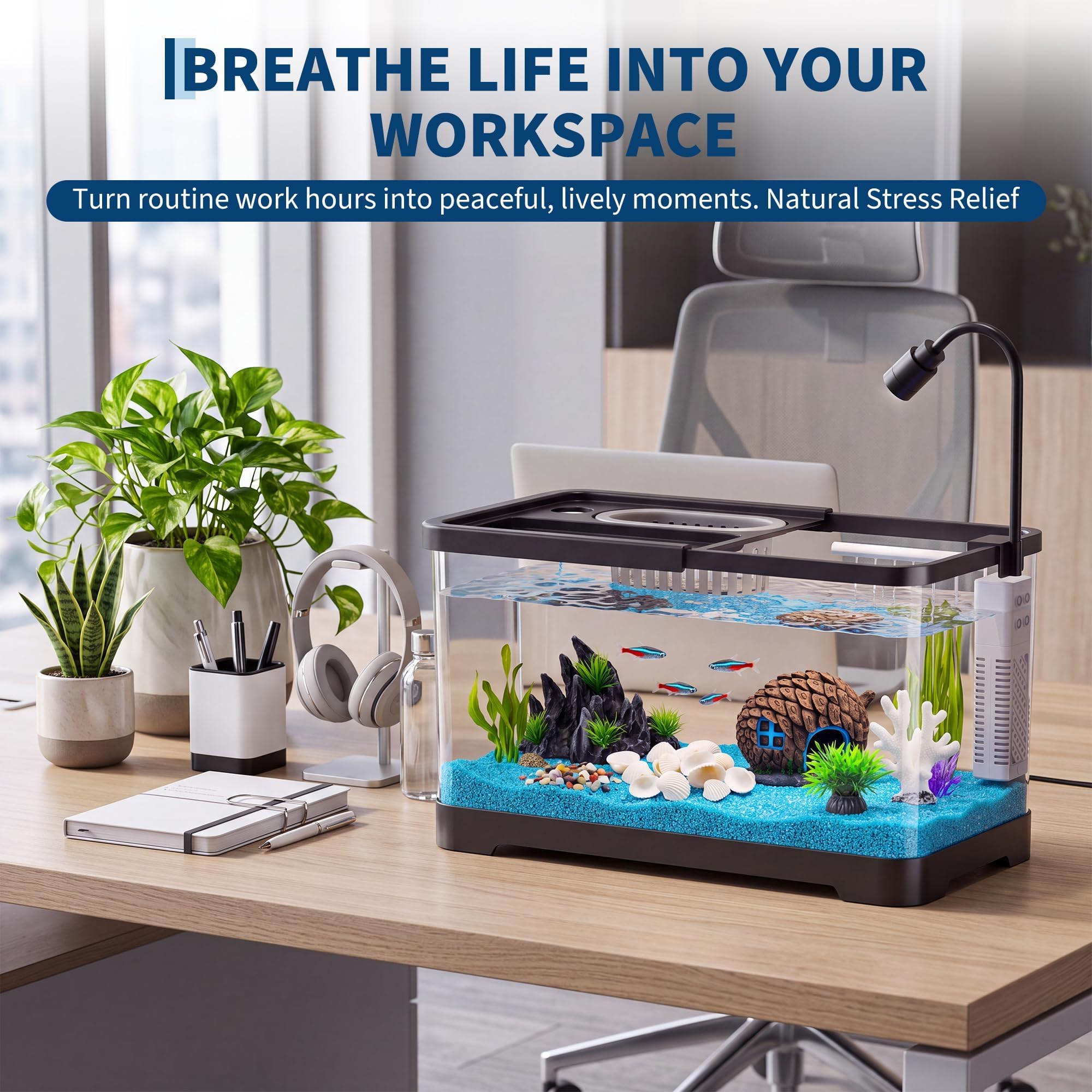 ชุดเริ่มต้นตู้ปลาพร้อมตัวกรองแ - Aquarium Fish Betta บทวิจารณ์และราคา