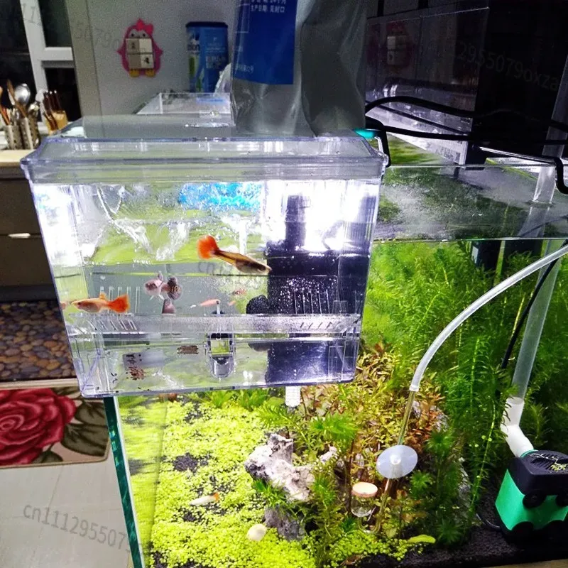 กล่องแยกสำหรับเพาะพันธุ์ปลาในต - Aquarium Pump บทวิจารณ์และราคา