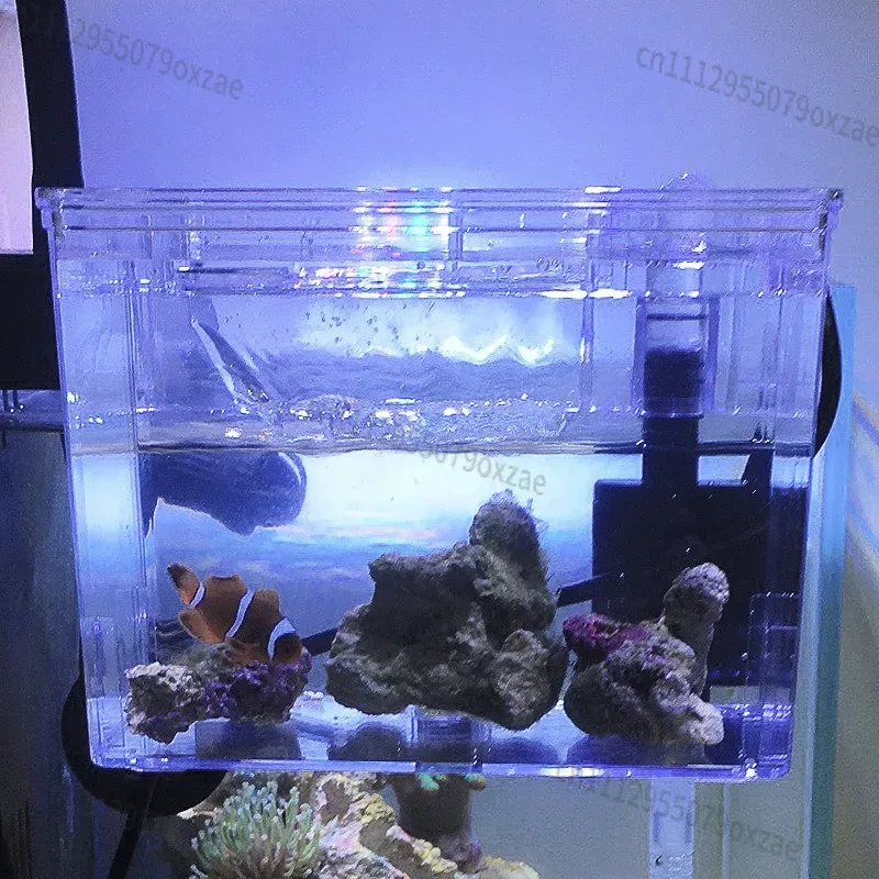 กล่องแยกสำหรับเพาะพันธุ์ปลาในต - Aquarium Pump บทวิจารณ์และราคา