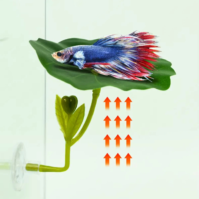(Ce14)1/5PC ต้นไม้ใบเขียวสำหรั - Aquarium Fish Betta บทวิจารณ์และราคา