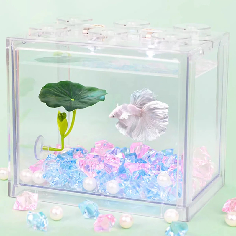 (Ce14)1/5PC ต้นไม้ใบเขียวสำหรั - Aquarium Fish Betta บทวิจารณ์และราคา