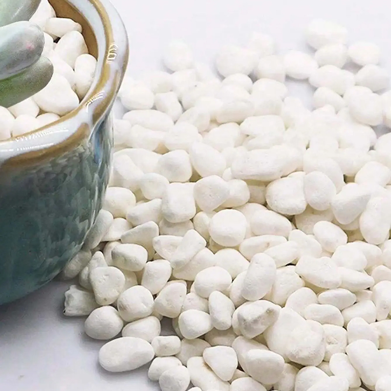 หินแม่น้ำขัดเงาสีขาวและดำ 200g - Fish Tank Gravel บทวิจารณ์และราคา