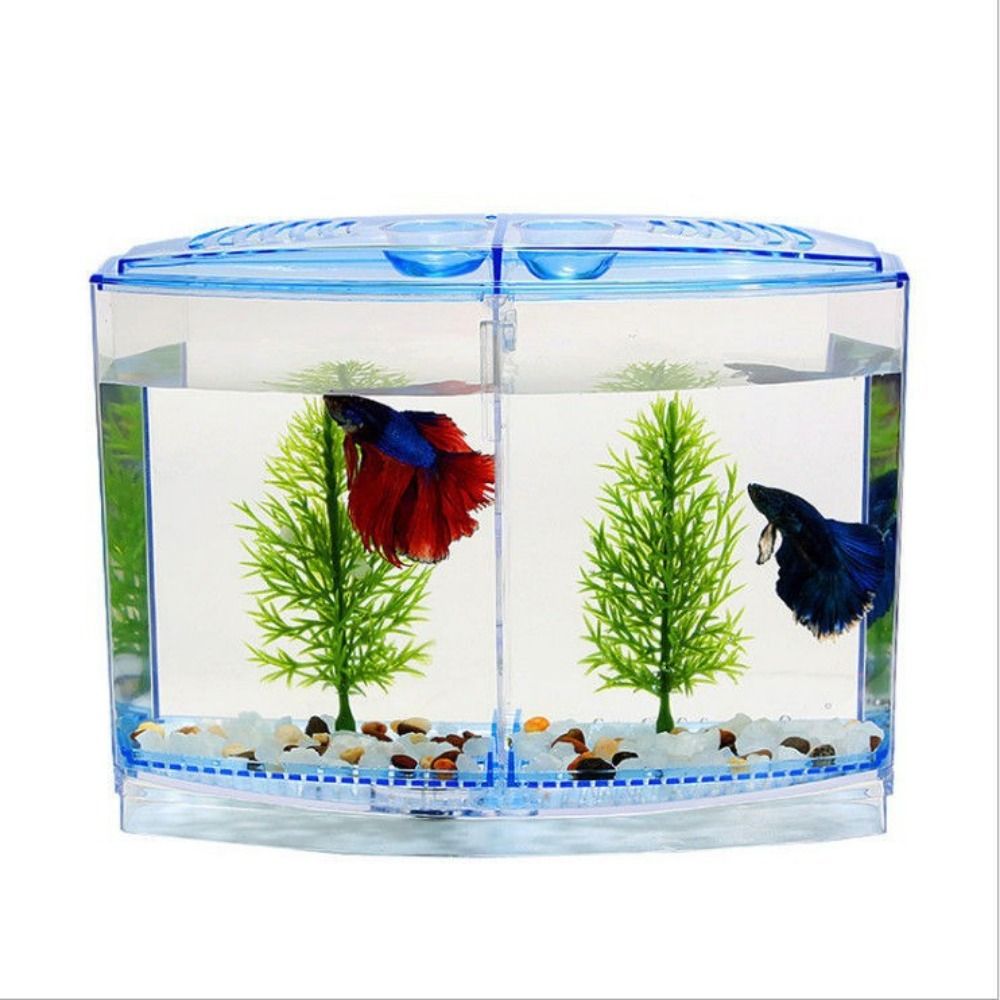 ถังปลาเบทต้าใสตู้ปลาหางนกยูงรู - Aquarium Fish Betta บทวิจารณ์และราคา