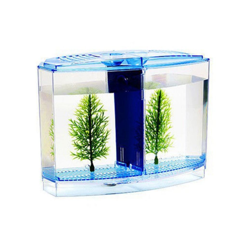 ถังปลาเบทต้าใสตู้ปลาหางนกยูงรู - Aquarium Fish Betta บทวิจารณ์และราคา