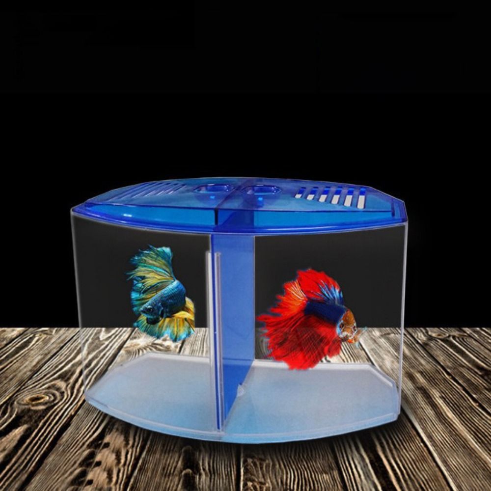 ถังปลาเบทต้าใสตู้ปลาหางนกยูงรู - Aquarium Fish Betta บทวิจารณ์และราคา