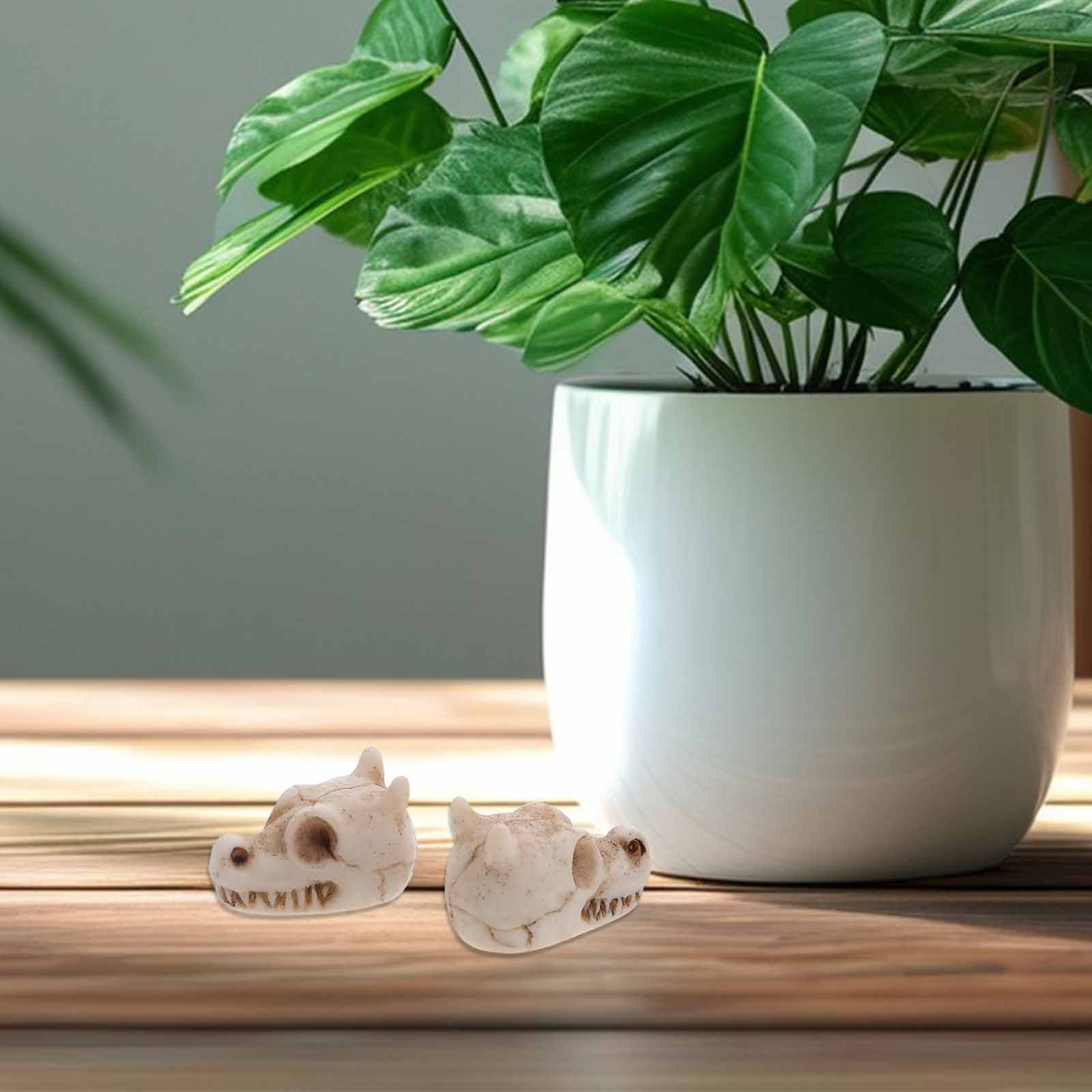 20 ชิ้น หัวกะโหลกมังกรขนาดเล็ก - Aquarium Decor บทวิจารณ์และราคา