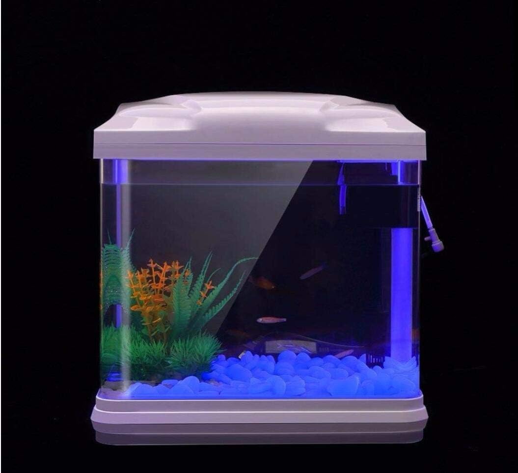 ถังปลา Rocks Glow Blue Pebbles - Fish Tank Gravel บทวิจารณ์และราคา