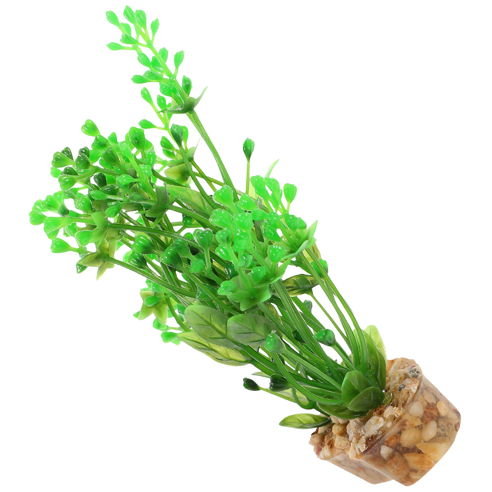 พืชน้ำเทียมสำหรับตกแต่งตู้ปลาแ - Aquarium Fish Betta บทวิจารณ์และราคา