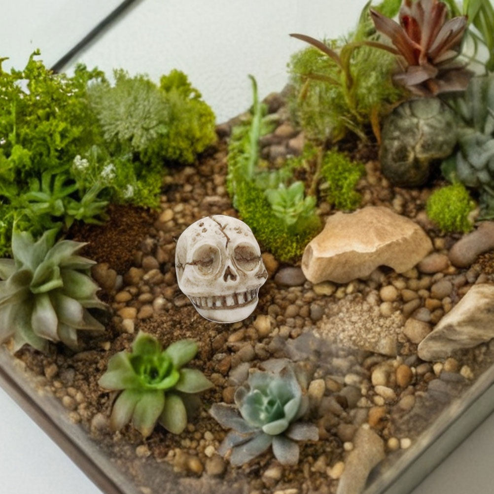 20 ชิ้น รูปปั้นหัวกะโหลกยิ้มทำ - Aquarium Decor บทวิจารณ์และราคา
