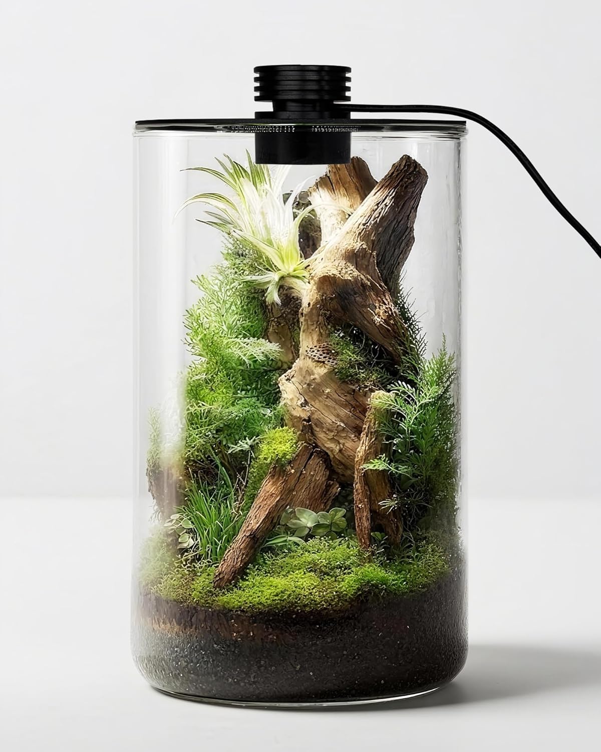 กระถางแก้วในร่มพร้อมไฟปลูกต้นไ - Betta Fish Tank บทวิจารณ์และราคา