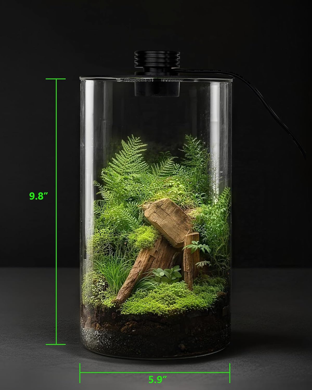 กระถางแก้วในร่มพร้อมไฟปลูกต้นไ - Betta Fish Tank บทวิจารณ์และราคา