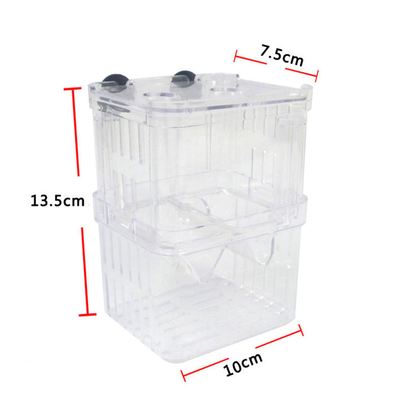 นกยูงปลา Breeding กล่องแยก Fis - Aquarium Fish Betta บทวิจารณ์และราคา