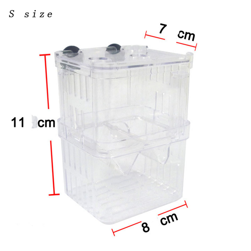 นกยูงปลา Breeding กล่องแยก Fis - Aquarium Fish Betta บทวิจารณ์และราคา