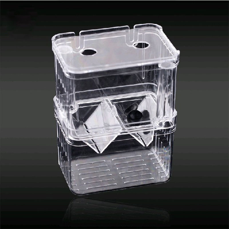 นกยูงปลา Breeding กล่องแยก Fis - Aquarium Fish Betta บทวิจารณ์และราคา
